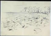 bild8